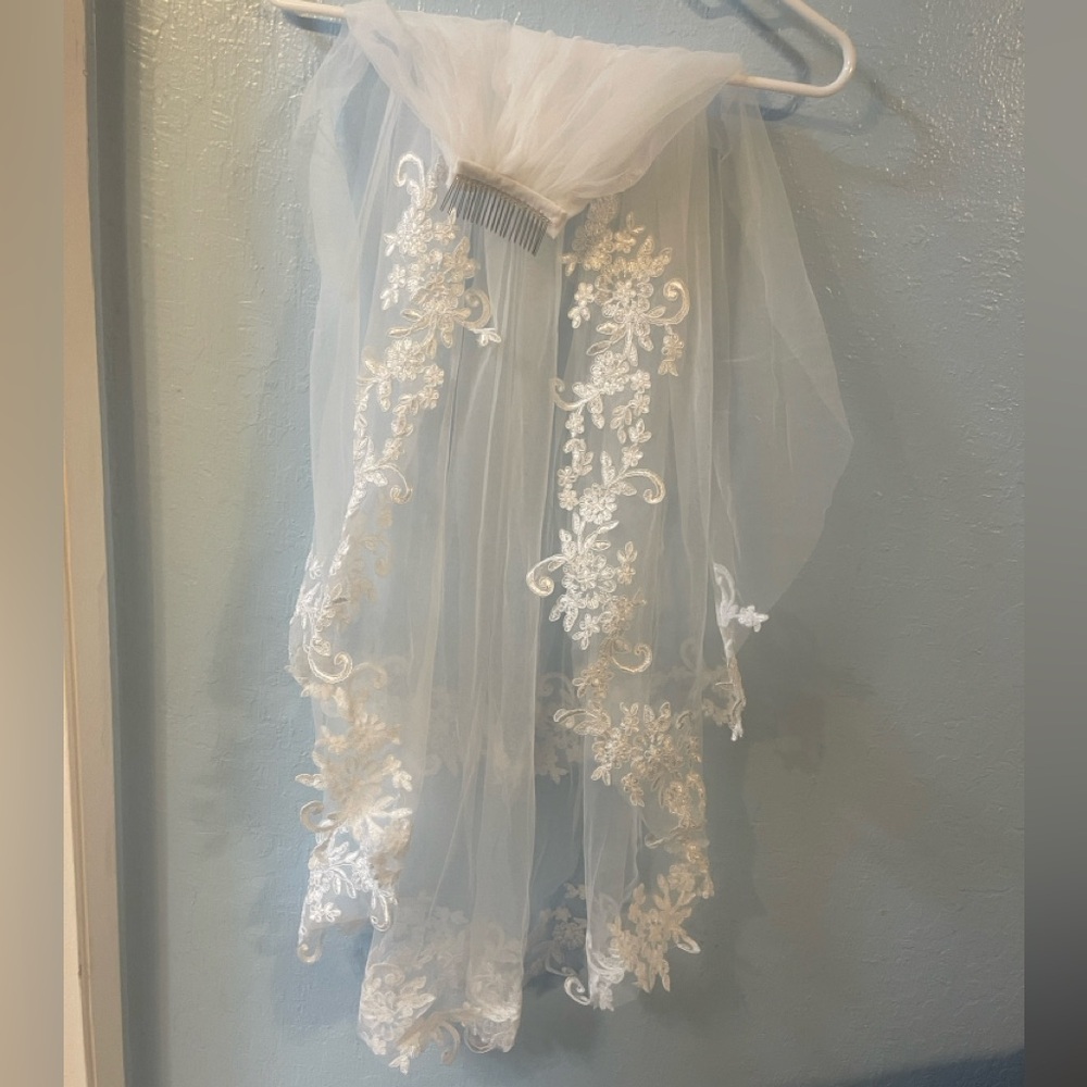 White Veil with White Lace Embroidery